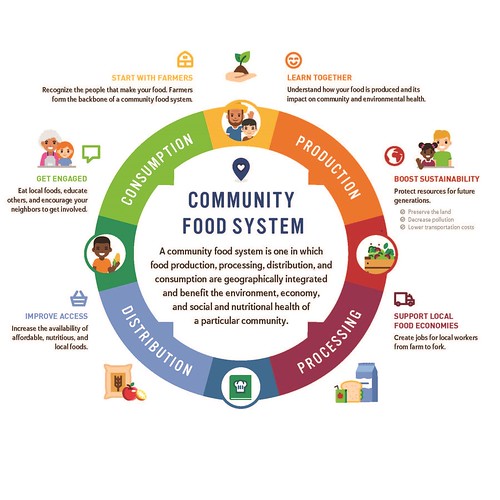 Community Food System infographic