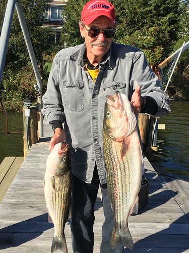 Dale Morton happily holds up two nice striped bass