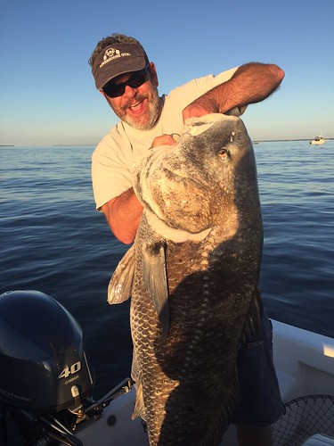 Photo of angler holding a Big Black Drum
