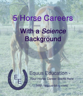 Science and Horses: 5 Horse Careers with a Science Background | Equus Education