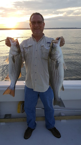 Angler with two nice striped bass
