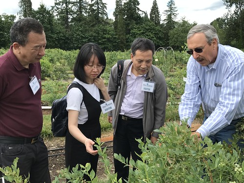 Dave Brazelton, President of Fall Creek Farm and Nursery (right), talking with representatives from China’s State Forestry Administration about plant variety protection