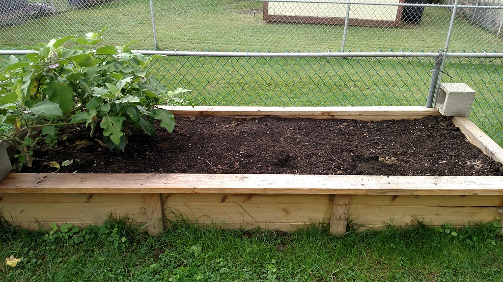 My experiences with commercial cedar raised beds 37043923954_2cfb55aa85_b