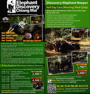 Elephant Discovery Chiang Mai Thailand Brochure 1