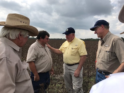 Agriculture Secretary Sonny Perdue visited Texas and saw first hand damage to Cotton fields and Cotton from Hurricane Harvey in Texas on Sept. 21, 2017