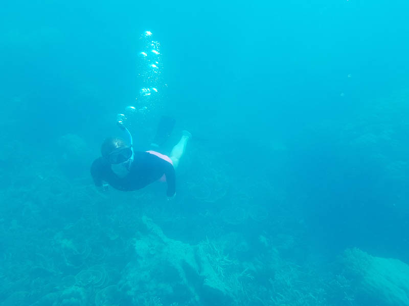 Snorkelling Near Geleang Island, Karimunjawa Islands