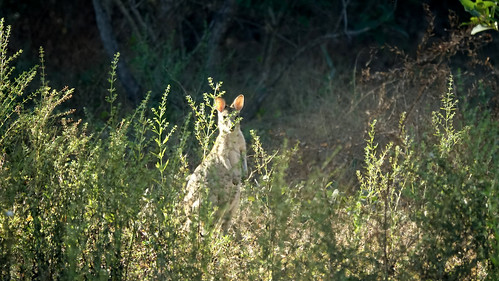 Darwin, Parque Nacional Kakadu - Australia en busca del Canguro perdido (4)