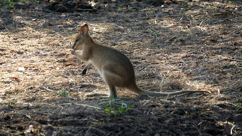 Darwin, Parque Nacional Kakadu - Australia en busca del Canguro perdido (3)
