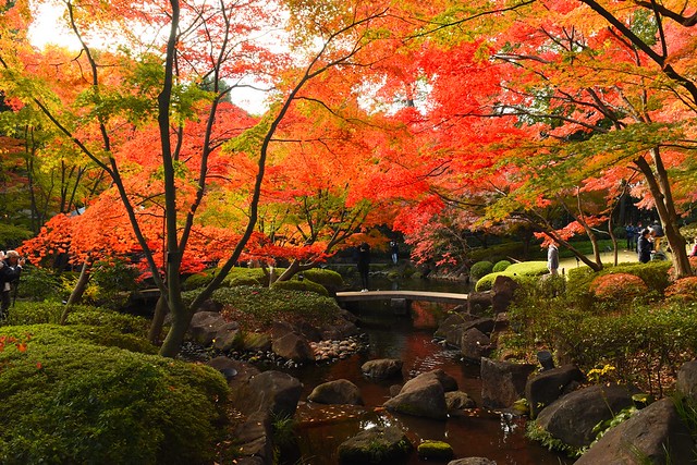 大田黒公園の紅葉風景