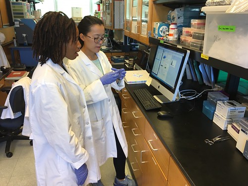 Oklahoma State University students Olivia Hawkins, left, and Lei Wu work on a project to study the health benefits of whole eggs in improving insulin resistance