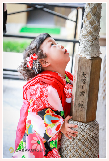 伊奴神社（名古屋市西区）で七五三まいり写真の出張撮影・ロケーション撮影　女性カメラマンが撮る3才の女の子　自然でおしゃれでオススメ・人気
