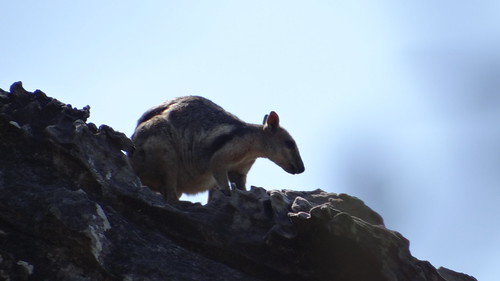 Parque Nacional Kakadu - Australia en busca del Canguro perdido (4)