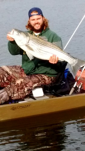 Photo of man in kayak with a striped bass