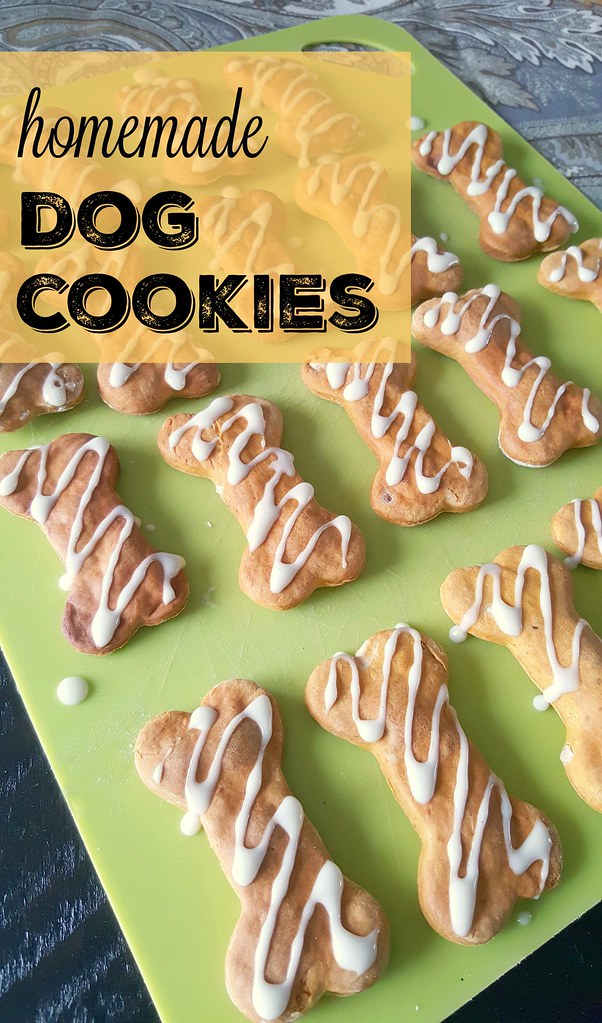 Turtles and Tails Homemade Peanut Butter Pumpkin Dog Cookies