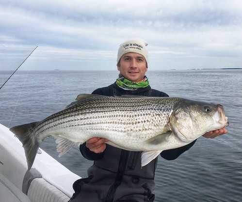 Photo of man holding striped bass