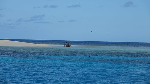 Cairns , Gran Barrera de Coral - Australia en busca del Canguro perdido (2)