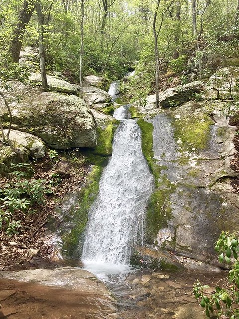 Blue Suck Falls at Douthat State Park is a 3.01 miles and is rated difficult