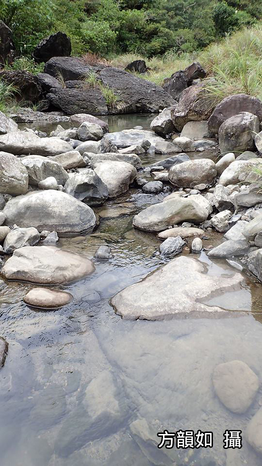 3_大石間沉積細砂礫的潔淨水域是彩色鰕虎們最愛的婚禮場所。（攝影：方韻如）