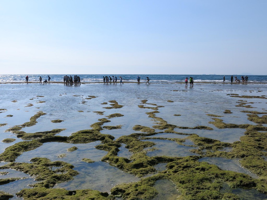 曾經生態豐富的小琉球潮間帶，因為遊客大量湧入、踩踏，生態發出警訊。
