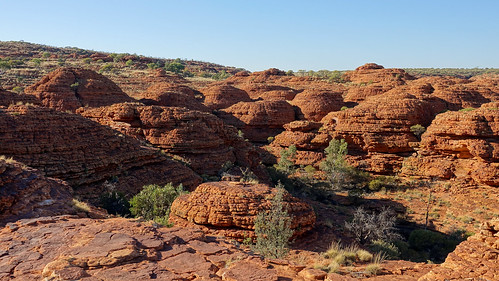Kings Canyon, Alice Springs - Australia en busca del Canguro perdido (1)