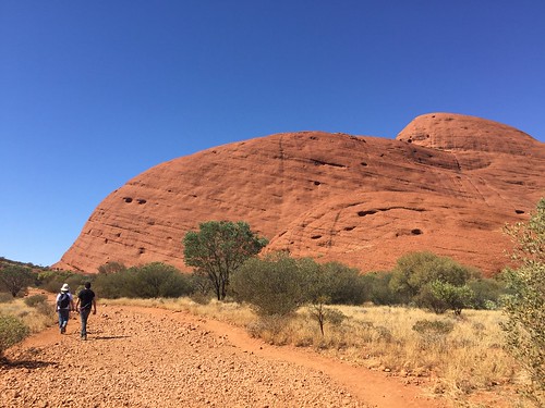 Uluru, Kata Tjuta, Kings Canyon - Australia en busca del Canguro perdido (7)