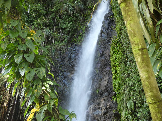 Dark View Falls en San Vicente y las Granadinas