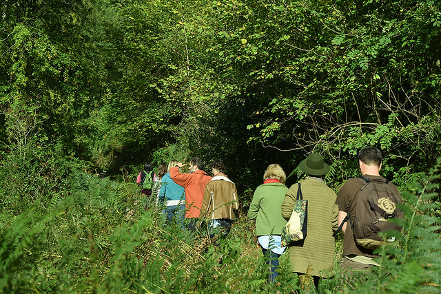 Adventures to the wild. Photo: Olly Boon www.therootsproject.com Adventures to the wild - a group walk along a path in a woodland glade