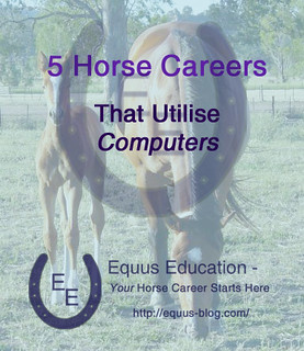 5 Horse Careers that Utilise Computers | Equus Education