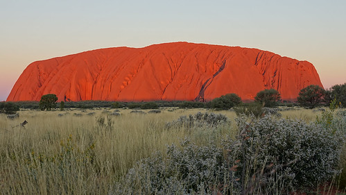 Ayers Rock, Uluru - Australia en busca del Canguro perdido (6)