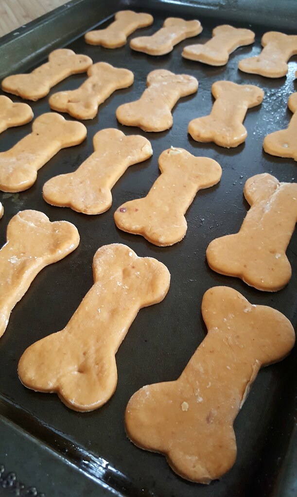 Homemade peanut butter pumpkin dog cookies