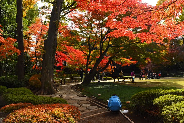 大田黒公園　日本庭園の紅葉