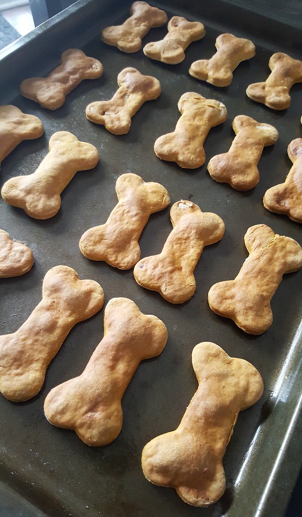 Homemade peanut butter pumpkin dog cookies