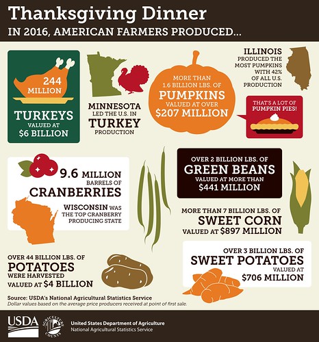 Thanksgiving infographic