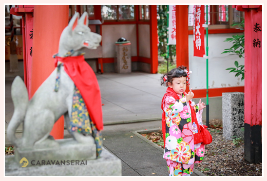 伊奴神社（名古屋市西区）で七五三まいり写真の出張撮影・ロケーション撮影　女性カメラマンが撮る3才の女の子　自然でおしゃれでオススメ・人気