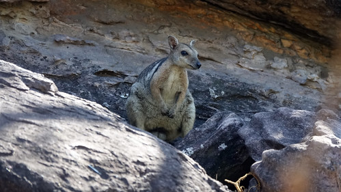Parque Nacional Kakadu - Australia en busca del Canguro perdido (5)