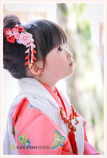 3才の女の子の七五三写真　ピンクの着物と髪飾り　愛知県瀬戸市の深川神社でロケーション撮影　女性カメラマンによる子供の自然な姿・表情