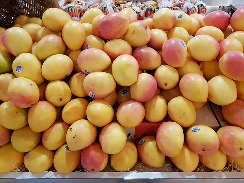 Calypso Mangoes
