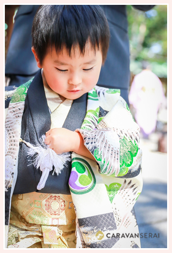愛知県瀬戸市の深川神社で兄弟揃って七五三詣り　フォトスタジオとは違う自然でおしゃれなロケーション撮影　