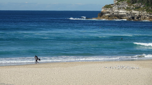 Sidney, Bondi beach, Padington, Hyde Park Barracks, Manli beach - Australia en busca del Canguro perdido (1)