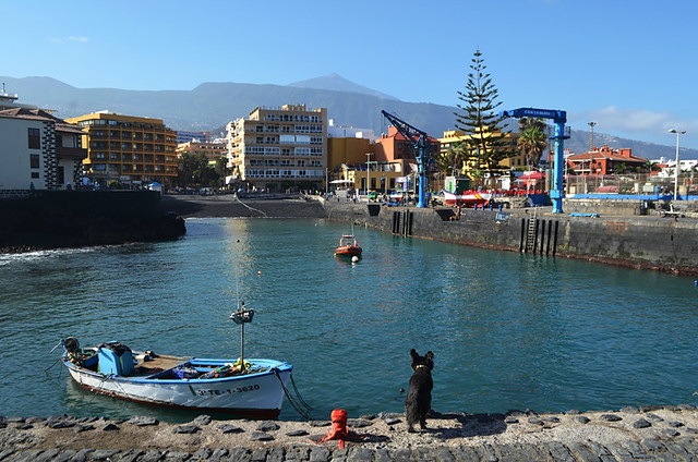 Harbour, Puerto de la Cruz, Tenerife