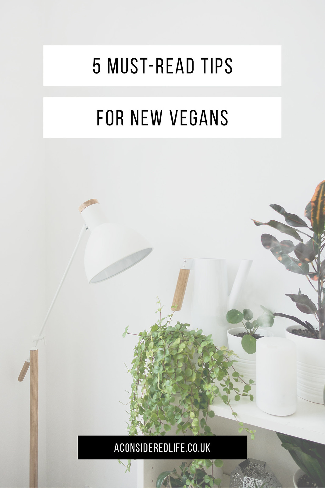 5 Tips For New Vegans