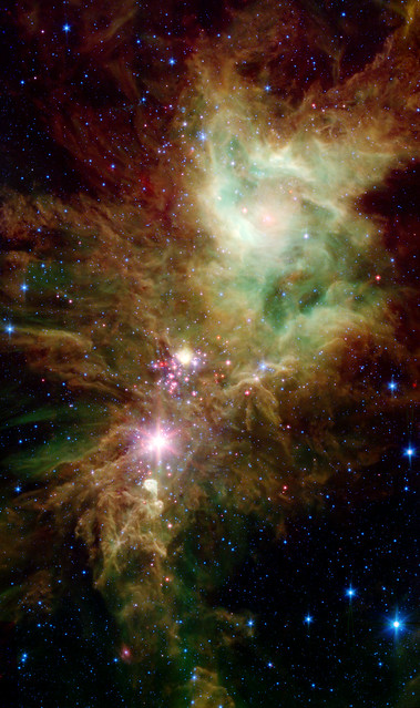 VCSE - A Hópehely-halmaz az NGC 2264-ben. A halmaz a ködösség előtt látszik, a kép közepén lévő fényes csillag alatt és körül, a halvány rózsaszínes pontokkal feltűnő protocsillagok és fiatal csillagok alkotják. A Hópehely-halmaz a kép keresztirányú méretének kb. hetedét-nyolcadát teszi ki csak. - A Spitzer Űrtávcső felvétele