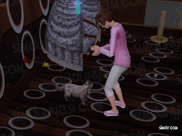 The Sims 2 Pets Teach Command Speak