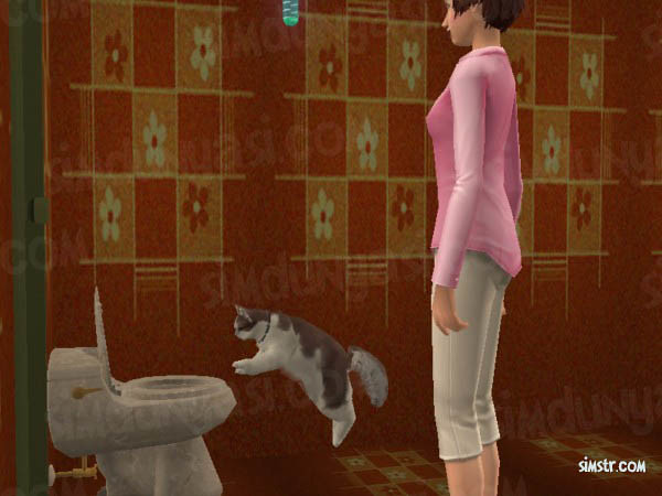 The Sims 2 Pets Teach Command Use Toilet