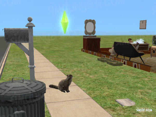 The Sims 2 Pets Catch Sinek Kovalayan Kedi