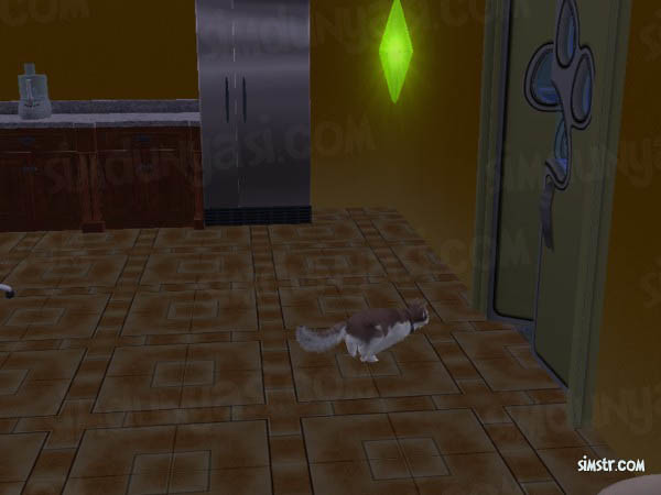 The Sims 2 Pets Catch Sinek Kovalayan Kedi
