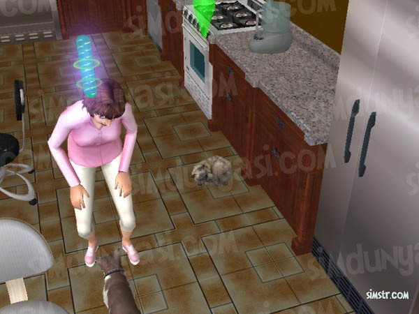 The Sims 2 Pets Give Birth to a Kitten