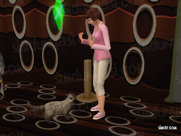 The Sims 2 Pets Teach Command Stand