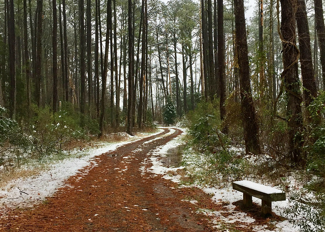You can have the park to yourself when you backpack in the colder months at Belle Isle State Park