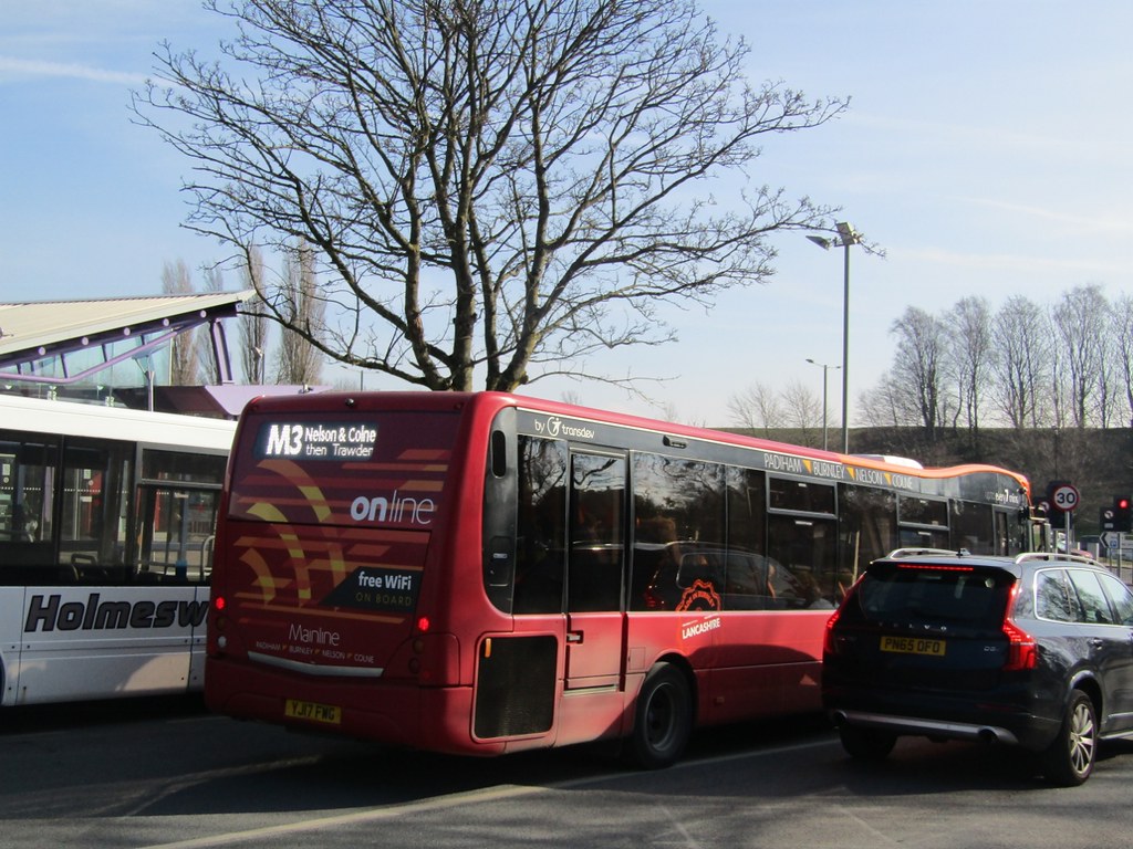 245 bus - the best bus